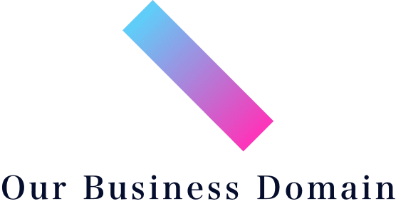 Our Business Domain